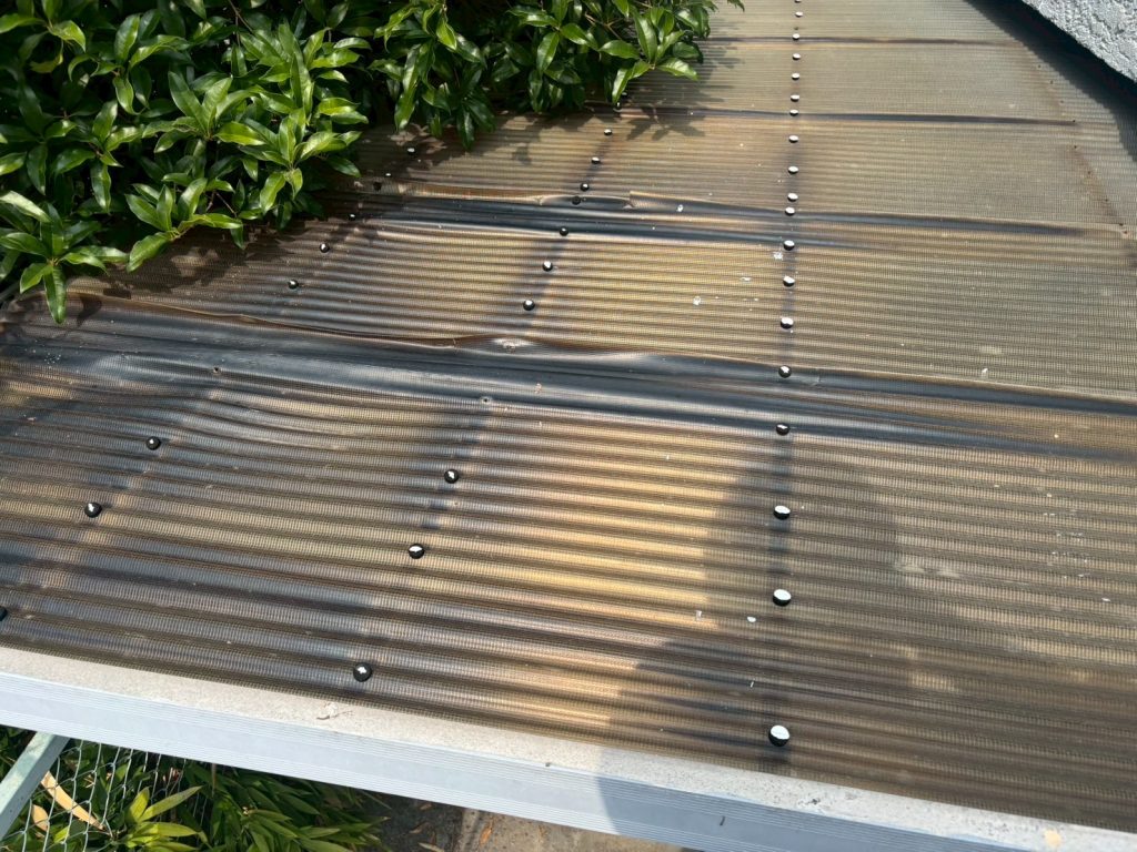 たわみが出た波板全体